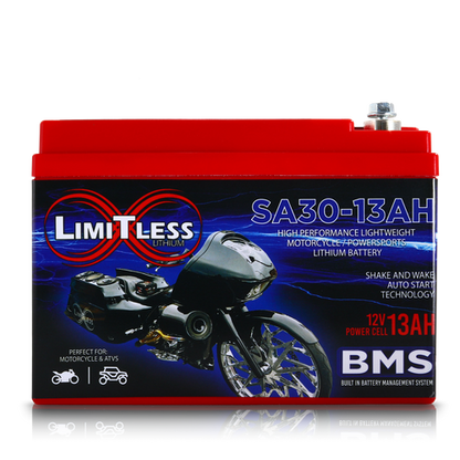 Shake Awake 30 Case 13Ah Smart Motorcycle battery With 3.5A Battery Maintainer