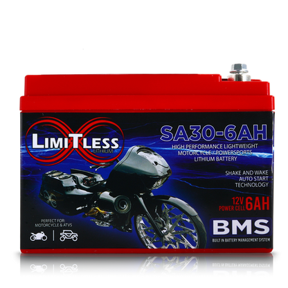 Shake Awake 30 Case 6Ah Smart Motorcycle battery with 3.5A Battery Maintainer