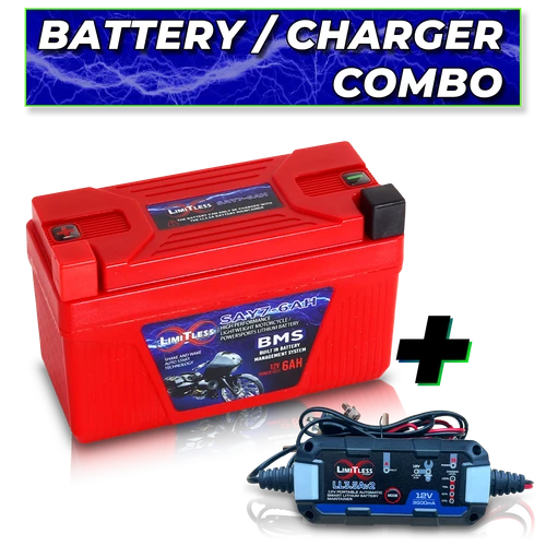 Shake Awake Y7 Case  6Ah Smart Motorcycle battery With 3.5A Battery Maintainer